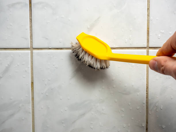 Best Office Mold Removal Services  in Kotzebue, AK