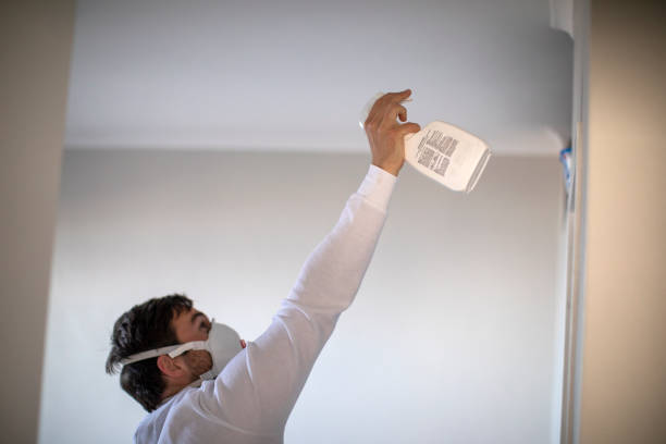 Best Mold Remediation  in Kotzebue, AK